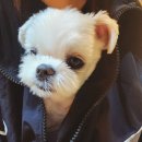문학산 정상 | 인천 문학산 야등 :)