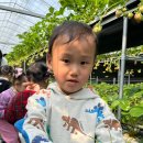 사무엘농장 이미지