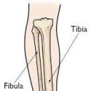 한마음한의원 이미지