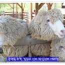 블로그 기초배우기 이미지