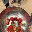 승리민박 이미지