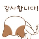 국수나무향남