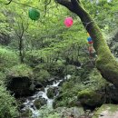 봉화사우나 | 봉화 청량산869m 등산 코스 추천 하늘다리 날씨