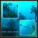 필리조트 이미지