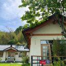 능남노하 이미지