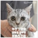 중동우리아이동물병원 이미지