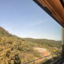 세븐일레븐 수원오목주공점 | 말차코어 도래가 기쁜 여성🍵(의 서울 당일치기)