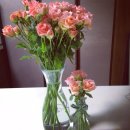 내품에햇살 이미지