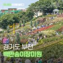 부천동 행정복지센터 | 서울 근교 나들이 부천 백만송이장미축제 일정 주차
