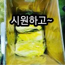 해남 땅끝 절임배추 20kg 4만원! 이미지