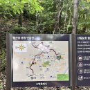 영천사 | 아주 늦은 고봉산 등산 후기🏞️