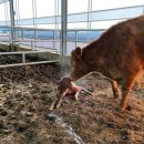 병순농장 이미지