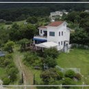 김제강아지 이미지