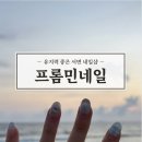 프롬민네일 | 유지력 좋은 서면 네일샵 전포동 프롬민네일 내돈내산