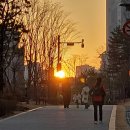 길빛 작은도서관 이미지