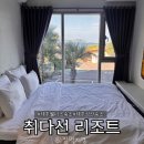 취다선리조트 | 제주 동쪽 혼자여행 명상, 요가 클래스 취다선 리조트 내돈내산 후기