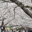 여좌장복경로당 네이버블로그
