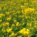 이연농장 이미지