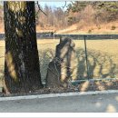 쌍이리오미 이미지