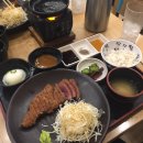 꼬망이펫샵 | 벌써 4월도 끝이구나