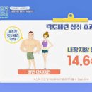 락토페린의 효능 및 안좋은점 잘 고르는 방법 이미지