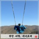 동물치유쉼터 | [평창 여행] 애니포레 | 평창 가볼만한 곳, 동물과 숲이 공존하는 공간 &#39;애니포레&#39; 소개 및 후기