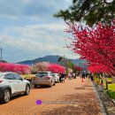 도화보건지소 이미지