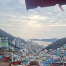 미로애견센터 | 한국관광100선 부산 여행명소 부산감천문화마을 관람 정보, 후기