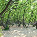 미림펜션(신관) 이미지