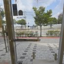 무마취 고양이 미용실 반할고양 이미지