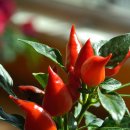 성민종합사회복지관 이미지