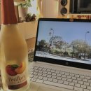 세일카프라자 이미지