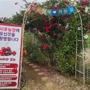 시후농장 네이버블로그
