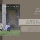 더나무 이미지