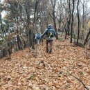 [금북기맥 3구간] 비득재→병목산→옥녀봉→월명산→놋점이고개 (2022.11.13) 이미지