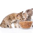 (주)우리사료 이미지