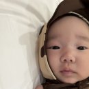 백림스테이 이미지