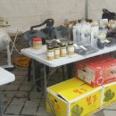 진도 무릉도원 이미지