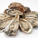 바디클락 이미지