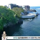 오작교 이미지