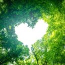 그레미움어린이집 이미지