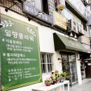 일향플라워