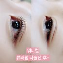 워니컬 | 신당역 속눈썹펌 워니컬 첫방문 블랙틴팅펌 리얼후기