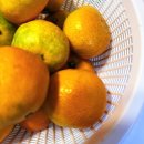 유락농장 이미지