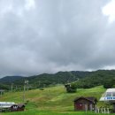설천면115 네이버블로그