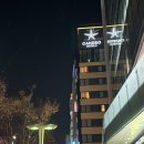 다트커피 | 후쿠오카 텐진 대욕장 숙소 추천 칸데오호텔 스탠다트 트윈룸 숙박 후기