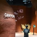 미디어 플러스 | 네이처스케이프 플러스 동탄 키즈카페 할인 받는 법, 주말 방문 후기