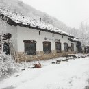 하백의정원 이미지