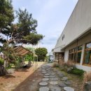슬로 용인 | 용인시청 카페 슬로 내돈내산 후기｜주차 편한 대형 베이커리 카페