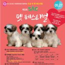 펫페스티벌 이미지